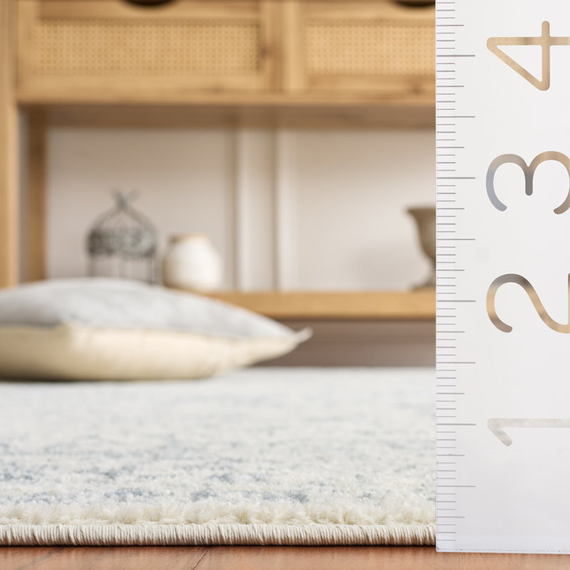 Ophelia & Co. Nuss Performance Oriental Rug & Reviews - Wayfair Canada